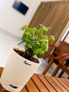 Rudra - 2 BHK Appartments - near Rameswaram Temple