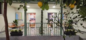 Olive Garden Blue Apartment