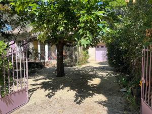 Villas Villa Marguerite jardin et parking 20min Avignon et St Remy : photos des chambres