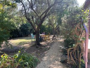 Villas Villa Marguerite jardin et parking 20min Avignon et St Remy : photos des chambres