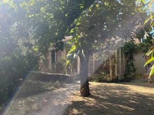 Villas Villa Marguerite jardin et parking 20min Avignon et St Remy : photos des chambres
