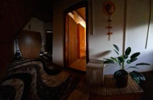 Žabljak izdavanje kuce