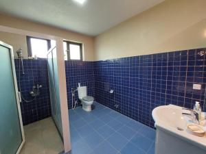 Villa pied dans leau Pointe aux Piments