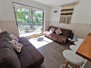 Cozy apartment in Pucón