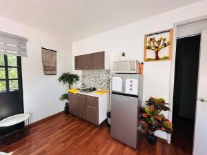 Bright apartment in Oaxaca