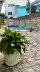 Privê Porto de Galinhas pertinho da praia!