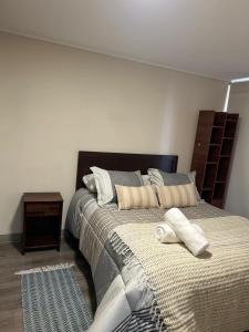 Gran departamento Santiago Centro