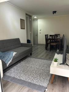 Gran departamento Santiago Centro