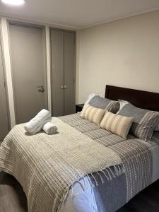 Gran departamento Santiago Centro