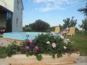 Apartments Ždravac - Vilanija