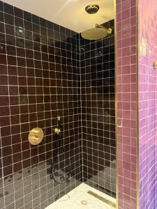 Luxurious vintage loft near city center