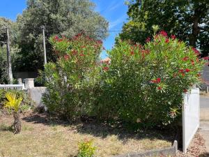 Maisons de vacances Villa Marcus : photos des chambres