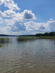 Otulony słońcem - domek do wynajęcia Marksewo
