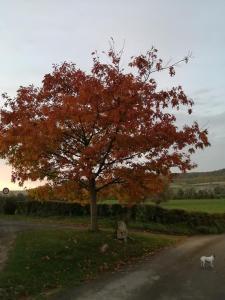 tranquillité- jardin- WIFI- gite Père Louis