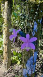 Recanto da Margo 3, casa com acesso a cachoeira