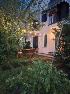 Il Glicine di Marco Polo