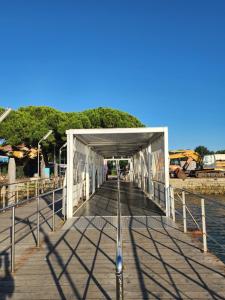 Il Glicine di Marco Polo