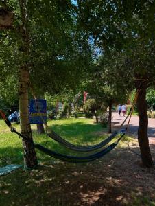 Autocamp Otesevo Apartments