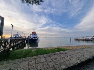 Il Glicine di Marco Polo