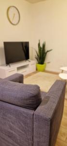 Appartements Apartment with garden : photos des chambres