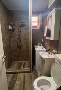 Stan na dan stari Priboj