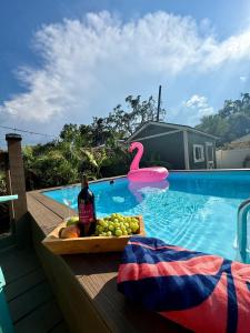 Tampa Jungalow- Pool Oasis