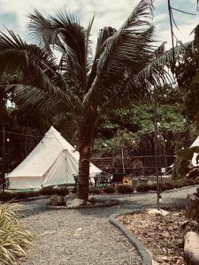 Tháng Tư Glamping