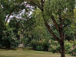 Charmant gîte en Normandie avec jardin et activités à sensations - FR-1-410-300