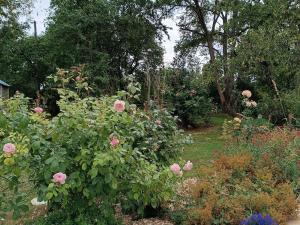 Maisons de vacances Charmant gite en Normandie avec jardin et activites a sensations - FR-1-410-300 : photos des chambres