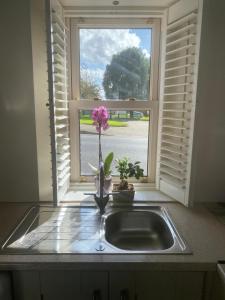 The Little Pink Cottage