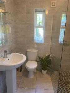 The Little Pink Cottage