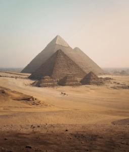 شقق و ايجار سيارات فندق فاميلي