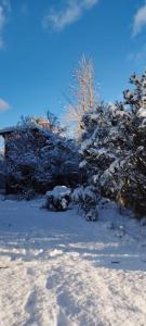 Aire de montaña: Tú refugio en Bariloche