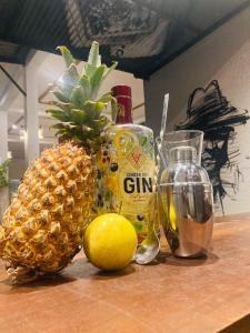 Motel Vintage Beliatta