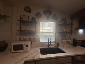 Tampa Jungalow- Pool Oasis