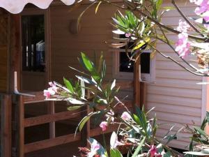 Mobil-home avec Terrasse à Bormes-les-Mimosas - API-1-52-190