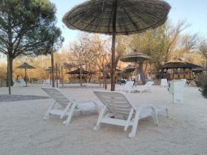 Campings Mobil-home confortable avec terrasse pour 4 personnes - API-1-52-413 : photos des chambres