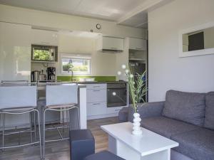 Mobil home Prestige avec terrasse à Royan - API-1-52-159