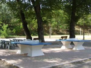 Campings Chalet avec Terrasse pour 6 personnes - API-1-52-482 : photos des chambres
