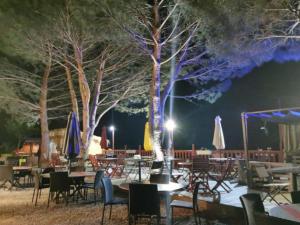 Campings Mobil home 2 chambres avec terrasse a Saint-Maime - API-1-52-753 : photos des chambres