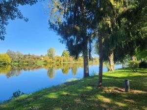 Campings Chalet 6 pers avec Terrasse a Badefols-sur-Dordogne - API-1-52-584 : photos des chambres