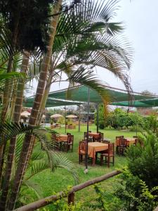 Bungalows Payancas de Tato