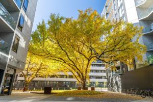 Tranquil 2 Bed Oasis in Canberra CBD with Netflix