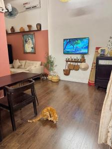 Peaceful Vietnamese - Style House, Yard & Bathtub