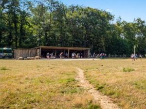 Campings Mobil-home avec terrasse pour 5 personnes, 2 chambres - API-1-52-791 : photos des chambres
