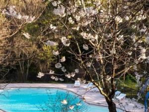 Campings Tente Toile & Bois - 2 Chambres, Terrasse - API-1-52-789 : photos des chambres