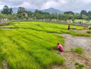 Baksaei Retreat Ricefield Villas