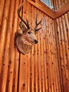 -Light House- 那須中心エリアの道の駅から徒歩圏内で那須塩原駅からバスでも行ける完全プライベート貸切ログハウス