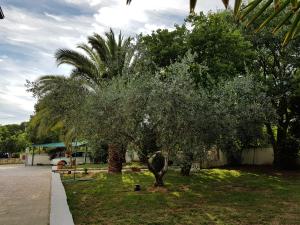 Villa Rosa with yard and childrens playground