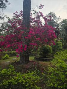 Sítio Vale das Águias - Casa do Vale - Mairiporã